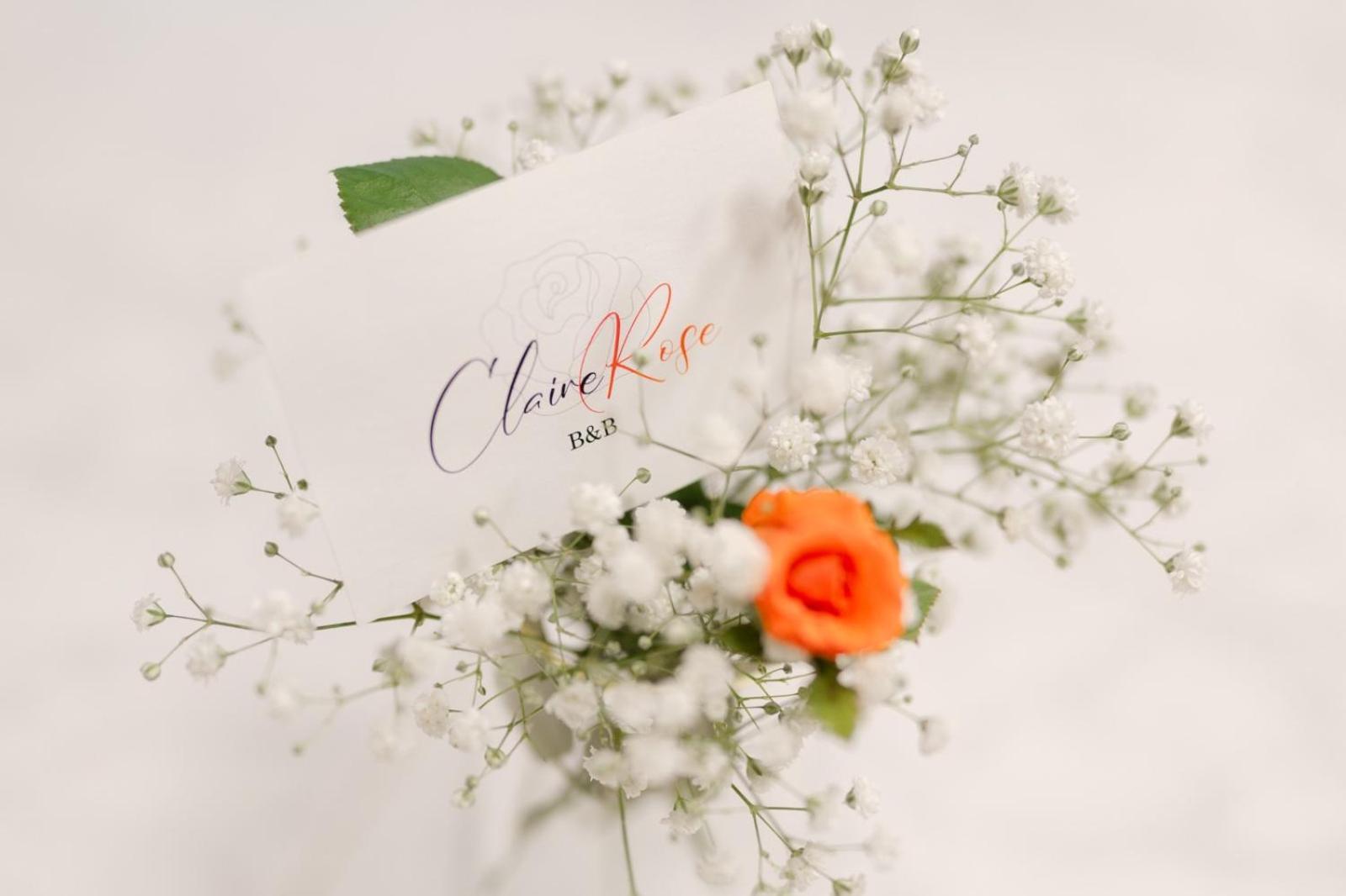 Claire Rose B&B Matera Bagian luar foto